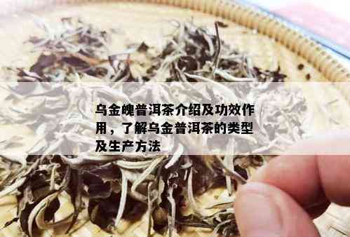 乌金魄普洱茶介绍及功效作用，了解乌金普洱茶的类型及生产方法