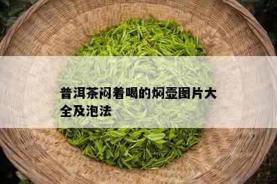 普洱茶闷着喝的焖壶图片大全及泡法