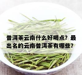 普洱茶云南什么好喝点？最出名的云南普洱茶有哪些？