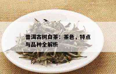 普洱古树白茶：茶色，特点与品种全解析