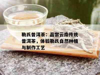 勒氏普洱茶：品尝云南传统普洱茶，体验勒氏自然种植与制作工艺