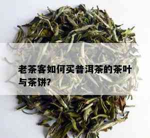 老茶客如何买普洱茶的茶叶与茶饼？