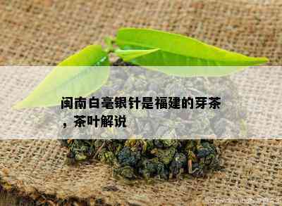 闽南白毫银针是福建的芽茶，茶叶解说