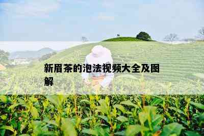 新眉茶的泡法视频大全及图解