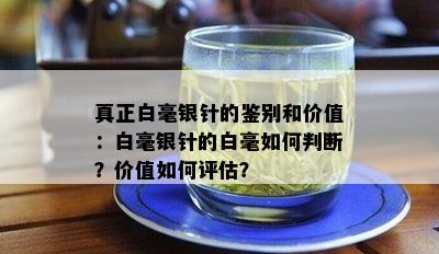 真正白毫银针的鉴别和价值：白毫银针的白毫如何判断？价值如何评估？