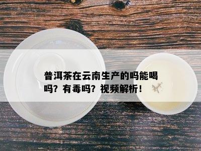 普洱茶在云南生产的吗能喝吗？有吗？视频解析！