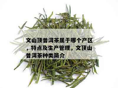 文山顶普洱茶属于哪个产区，特点及生产管理，文顶山普洱茶种类简介