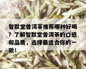 智默堂普洱茶推荐哪种好喝？了解智默堂普洱茶的口感和品质，选择最适合你的一款！