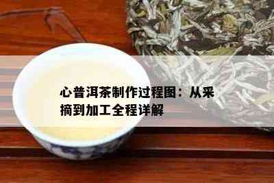 心普洱茶制作过程图：从采摘到加工全程详解