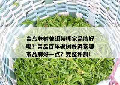 青岛老树普洱茶哪家品牌好喝？青岛百年老树普洱茶哪家品牌好一点？完整评测！