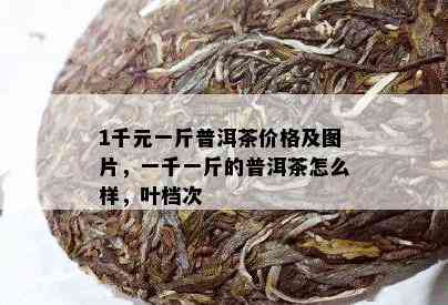 1千元一斤普洱茶价格及图片，一千一斤的普洱茶怎么样，叶档次