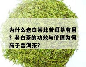 为什么老白茶比普洱茶有用？老白茶的功效与价值为何高于普洱茶？