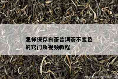 怎样保存白茶普洱茶不变色的窍门及视频教程