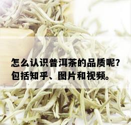 怎么认识普洱茶的品质呢？包括知乎、图片和视频。