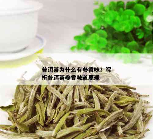 普洱茶为什么有参香味？解析普洱茶参香味道原理