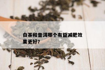 白茶和普洱哪个有益减肥效果更好？