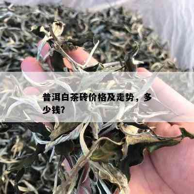 普洱白茶砖价格及走势，多少钱？