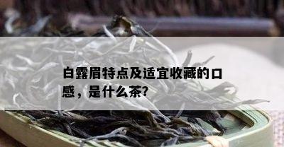 白露眉特点及适宜收藏的口感，是什么茶？