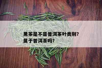 黑茶是不是普洱茶叶类别？属于普洱茶吗？