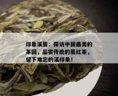 印象溪眉：探访中国最美的茶园，品尝传统的眉红茶，留下难忘的溪印象！