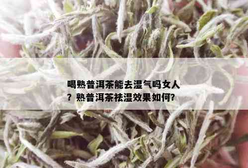 喝熟普洱茶能去湿气吗女人？熟普洱茶祛湿效果如何？