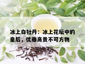 冰上白牡丹：冰上花坛中的皇后，优雅高贵不可方物