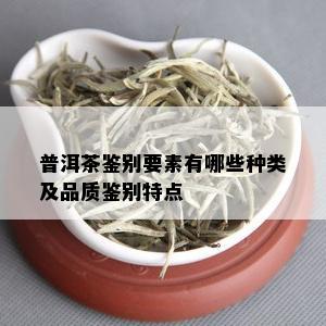 普洱茶鉴别要素有哪些种类及品质鉴别特点