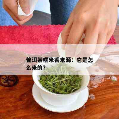 普洱茶糯米香来源：它是怎么来的？