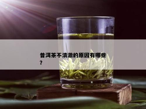 普洱茶不清澈的原因有哪些？