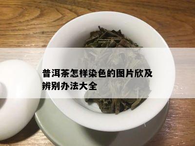 普洱茶怎样染色的图片欣及辨别办法大全