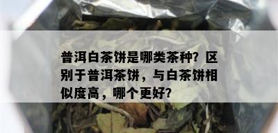 普洱白茶饼是哪类茶种？区别于普洱茶饼，与白茶饼相似度高，哪个更好？