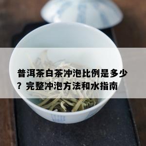 普洱茶白茶冲泡比例是多少？完整冲泡方法和水指南