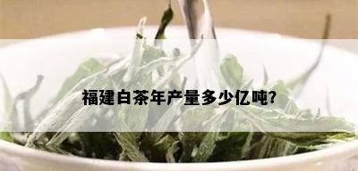 福建白茶年产量多少亿吨？