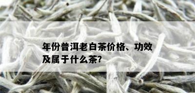 年份普洱老白茶价格、功效及属于什么茶？