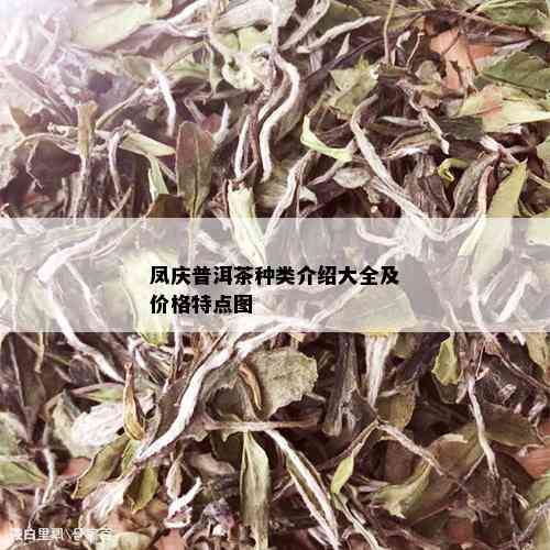 凤庆普洱茶种类介绍大全及价格特点图