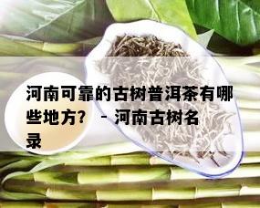 河南可靠的古树普洱茶有哪些地方？ - 河南古树名录