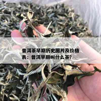 普洱茶早期历史图片及价格表：普洱早期叫什么茶？