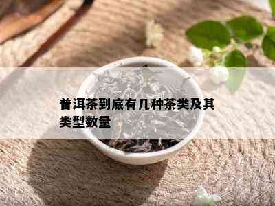 普洱茶到底有几种茶类及其类型数量