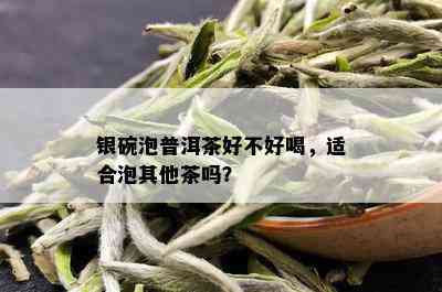 银碗泡普洱茶好不好喝，适合泡其他茶吗？