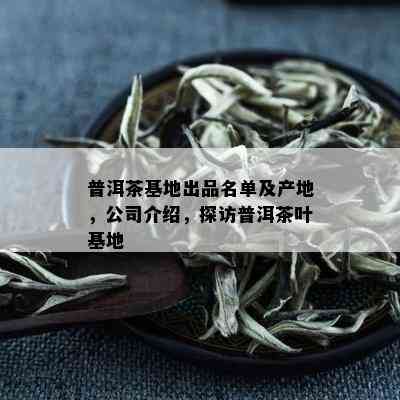 普洱茶基地出品名单及产地，公司介绍，探访普洱茶叶基地