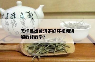 怎样品出普洱茶好坏视频讲解教程教学？