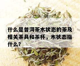 什么是普洱茶木状态的茶及相关茶具和茶杯，木状态指什么？