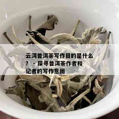 云洱普洱茶写作目的是什么？ - 探寻普洱茶作者和记者的写作意图