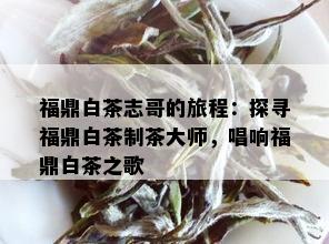 福鼎白茶志哥的旅程：探寻福鼎白茶制茶大师，唱响福鼎白茶之歌