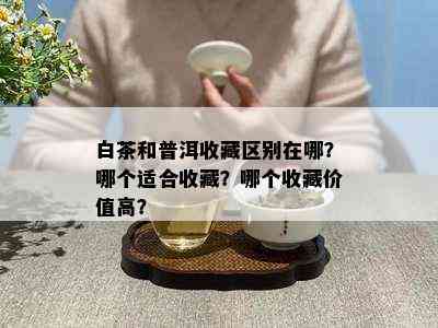 白茶和普洱收藏区别在哪？哪个适合收藏？哪个收藏价值高？