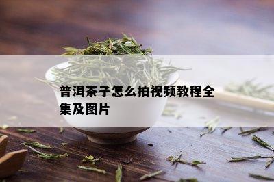 普洱茶子怎么拍视频教程全集及图片