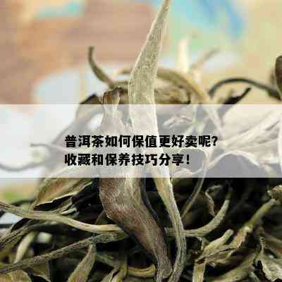 普洱茶如何保值更好卖呢？收藏和保养技巧分享！