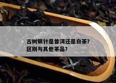 古树银针是普洱还是白茶？区别与其他茶品？