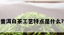 普洱白茶工艺特点是什么？