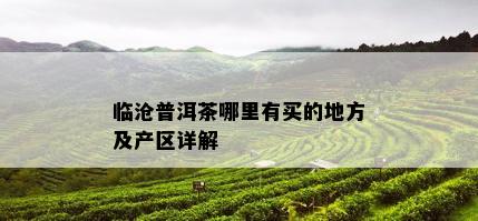 临沧普洱茶哪里有买的地方及产区详解